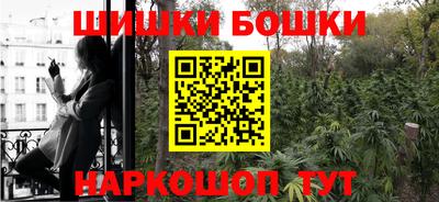 гашик Краснознаменск